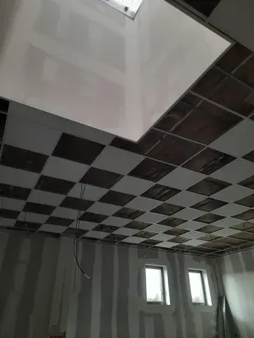plafond dalle
